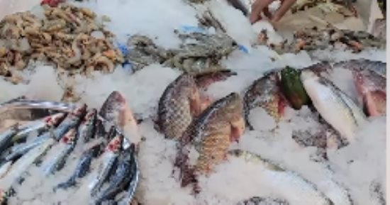 خليه على فطارك.. لهذه الأسباب لا تتجاهل السمك في رمضان
