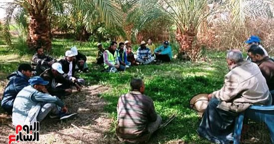 الوادى الجديد تعلن الحرب على سوسة النخيل بأكبر مبادرة لمكافحتها.. استخدام أحدث جهاز للكشف عن الإصابة بتقنية النبضات الرنينية وأجهزة الحقن الهيدروليكى المتطور.. ونسبة النجاح تصل 100% لتعزز صادرات التمور.. صور