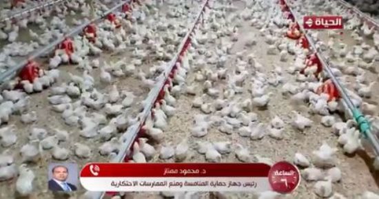حماية المنافسة: اتفاق الشركات على تحديد سعر فيما بينها جريمة