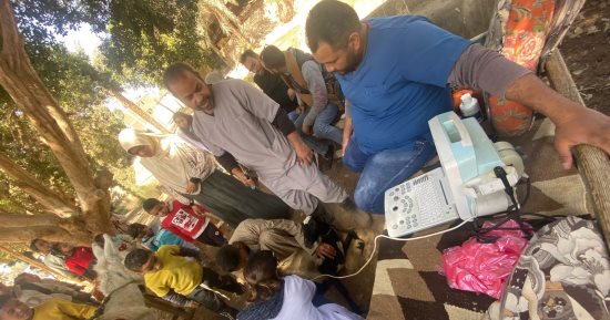 قافلة بيطرية مجانية بقريتى الحلة والكلابية فى مركز إسنا بالأقصر.. صور
