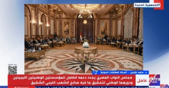 أستاذ علاقات دولية: مصر منفتحة على دوائر صنع القرار الليبى لإنهاء الجمود السياسى