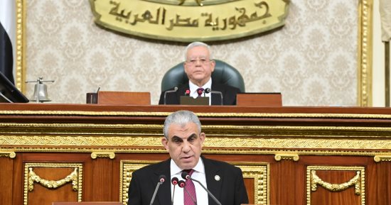 مجلس النواب يستثنى العمالة المنزلية من تطبيق قانون العمل.. والحكومة توضح