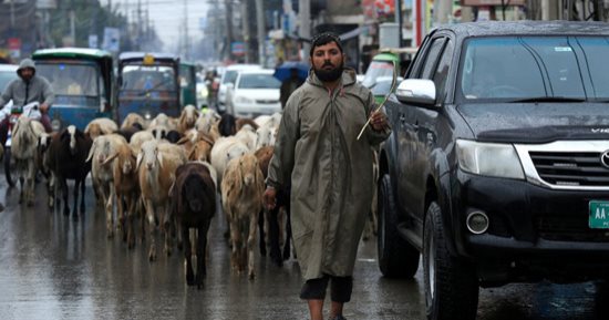 باكستان تحت الصفر.. هطول أمطار غزيرة فى بيشاور 