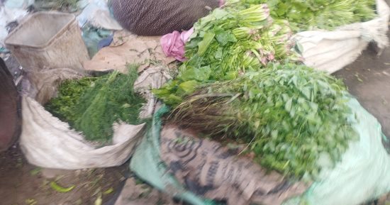 الملوخية والمحاشى أطباق دائمة على السفرة المنياوية طوال شهر رمضان
