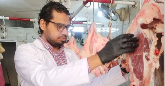 ضبط لحوم غير صالحة للاستهلاك الآدمى فى حملة للطب البيطرى بسوهاج