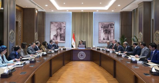 رئيس الوزراء يستعرض مشروعا مقترحا لإنتاج الهيدروجين والأمونيا الخضراء بخليج السويس