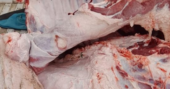 تموين كفر الشيخ: ضبط سلع غذائية منتهية الصلاحية