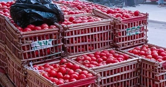 الطماطم بكام النهاردة؟.. اعرف أسعار الخضراوات والفاكهة بكفر الشيخ اليوم السبت