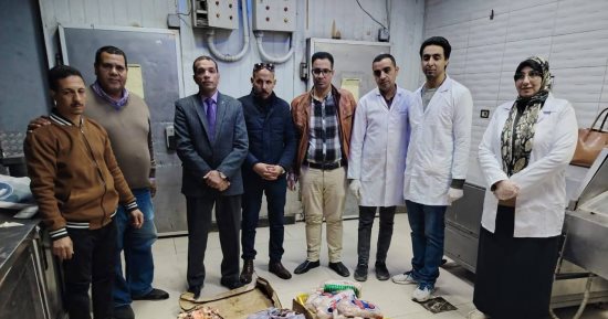 ضبط لحوم فاسدة خلال حملة على الأسواق ومحلات الجزارة فى سوهاج
