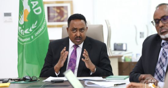 قمة استثنائية لمنظمة "الإيجاد" بشأن تصاعد التوترات فى جنوب السودان