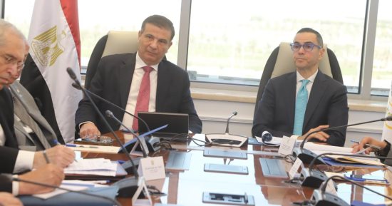 وزيرا الزراعة والاستثمار: رؤية لوضع مصر على رأس الدول المصدرة للبطاطس