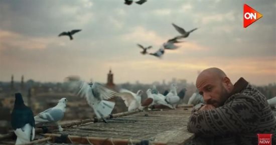 مسلسل الغاوي وأسرار عالم الحمام.. من هواية إلى أداة حربية عبر التاريخ