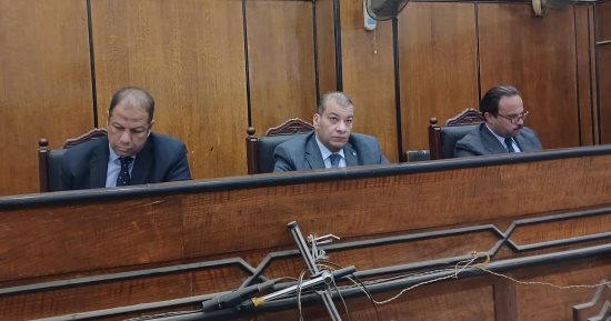 السجن المشدد 5 سنوات للمتهم بالشروع فى سرقة ربة منزل بالشرقية