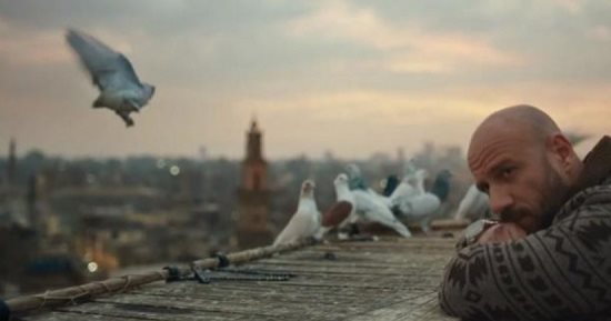 يا برج يا أبو الحمام حلو الملاغية.. أجمل 4 أغانى للحمام من وحى مسلسل الغاوي