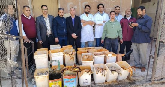 ضبط أكثر من طن ملوحة فاسدة فى حملة على الأسواق والمحلات بسوهاج
