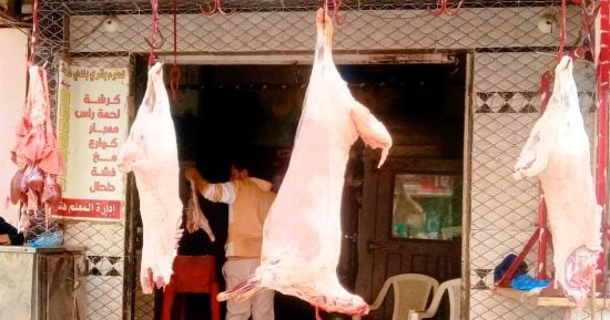 تعرف على أسعار الفراخ والسمك بسوهاج اليوم الخميس 8-1-2026