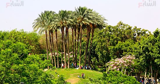 حديقة الأزهر تتزين لاستقبال زوار العيد 