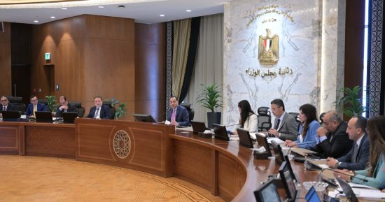 الحكومة: الاستمرار في تنفيذ السياسات الخاصة بالحفاظ على سعر صرف مرن