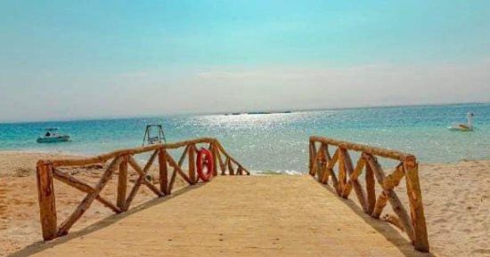 جزر البحر الأحمر تستعد لاستقبال المعيدين.. المئات من اللنشات السياحية تبحر يوميا بين "ثالوث الطبيعة الخلابة"