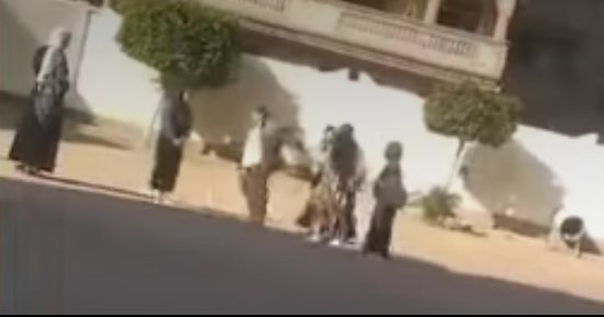 النيابة الإدارية تتخذ إجراءات عاجلة فى واقعة تعدى مدير مدرسة على طالبتين بالبحيرة