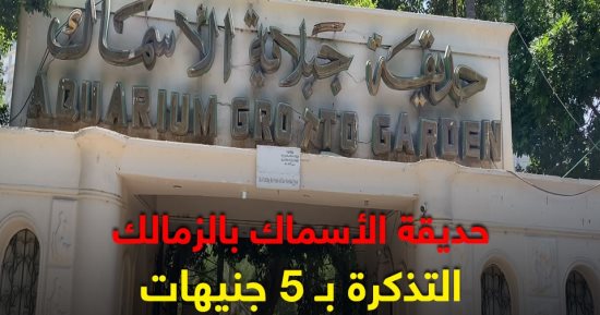 الفسحة بـ5 جنيهات بحديقة الأسماك.. تعالى شم هوا واتصور كأنك فى أوروبا (فيديو)