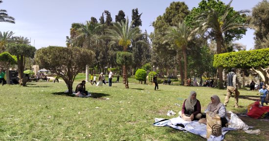 مئات الأسر يفترشون المسطحات الخضراء للاحتفال بالعيد.. صور