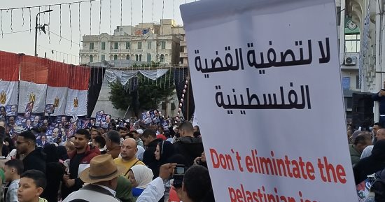 أستاذ قانون دولى: مصر تؤكد دعم فلسطين مع حقها فى تنظيم أى أنشطة على أراضيها