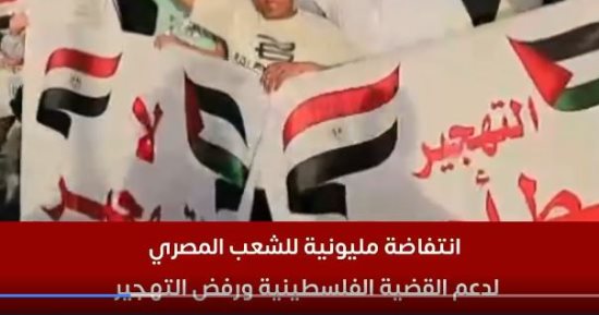 خبير: لولا موقف مصر لتمت تصفية القضية الفلسطينية نهائيا