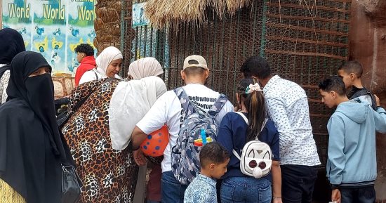 إقبال واسع على حديقة الحيوان بالحديقة الدولية فى ثانى أيام عيد الفطر.. صور