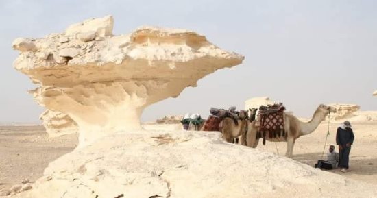 أرض العجائب.. الصحراء الغربية تحتضن معالم طبيعية مذهلة منذ ملايين السنين