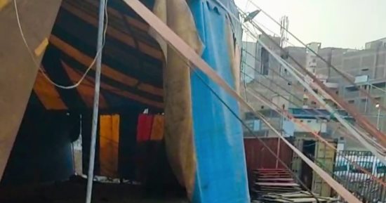 إزالة سيرك طنطا بعد واقعة تعدى نمر على عامل في الغربية