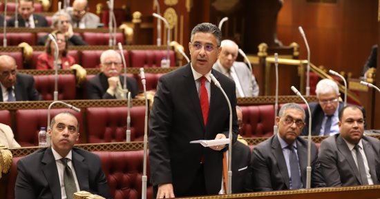 وزير التموين أمام مجلس الشيوخ: مشروعات نوعية لتعزيز الأمن الغذائي
