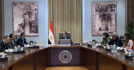 رئيس الوزراء يتابع موقف الطروحات فى قطاع الطاقة