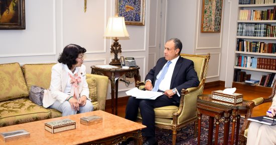 وزير الخارجية والهجرة يلتقي بعضو مجلس النواب الياباني
