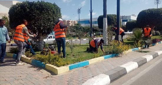 رفع كفاءة المسطحات الخضراء بالإسماعيلية استعدادا للاحتفال بأعياد الربيع.. صور
