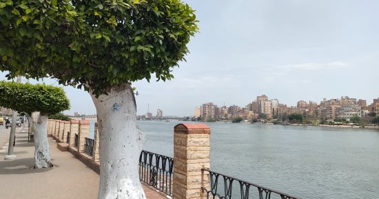 طقس الغربية.. شمس ساطعة وارتفاع درجات الحرارة بكافة الأنحاء.. فيديو