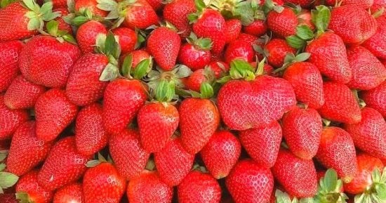 أطعمة ومشروبات غنية بمضادات الأكسدة