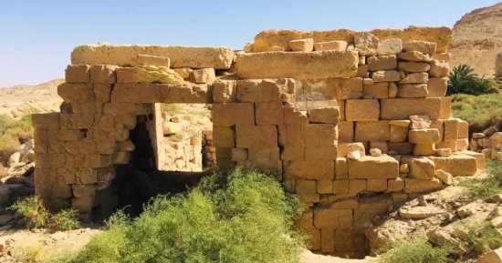 أطلال الخرائب العامرة على درب عين أمور.. أقدم طريق لربط واحتى الخارجة والداخلة بالوادى الجديد منذ آلاف السنين.. ما زالت أشجاره تنمو حتى الآن.. ويضم معبدًا ونقطة لحماية القوافل.. ويستهوى عشاق المشى.. صور