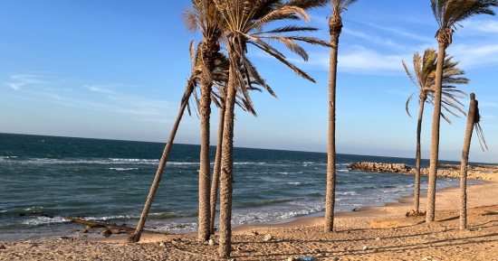 شاطئ النخيل بالعريش.. لوحة طبيعية تُرسم بالتراث والجمال فى شمال سيناء