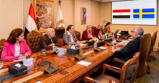 وزيرة البيئة تبحث مع السفير السويدى بالقاهرة تعزيز التعاون الثنائى فى التحول الأخضر