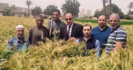محافظ الجيزة يتابع استعدادات استقبال موسم حصاد القمح ويؤكد تقديم الدعم للمزارعين