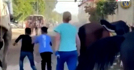 الداخلية تكشف تفاصيل تدخل أجنبية بسبب تعدى مواطن على دابة بالهرم.. فيديو