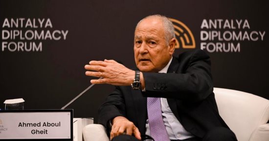 أبو الغيط يبحث هاتفيا مع وزيرة خارجية أيرلندا تطورات غزة والملفات الإقليمية