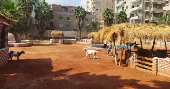 مدير حديقة حيوان الشرقية: جار تجهيز بيت السباع.. ولدينا 25 نوعا من المقتنيات