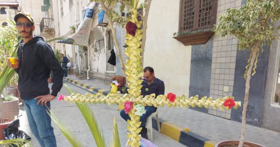 فى الطريق فرشوا القمصان ومن الشجر قطعوا الأغصان.. احتفالات أحد السعف بالإسكندرية