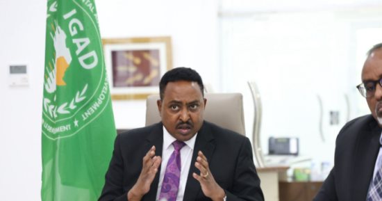 منظمة إيجاد تدعو للسلام فى السودان مع دخول الحرب عامها الثالث