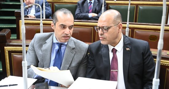 وزير العمل يشكُر المستشار محمود فوزي وزير المجالس لجهوده وسرعة إصدار قانون العمل