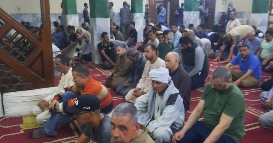 192 ألف فدان منزرعة من القمح و60 ندوة علمية فى سوهاج منذ بداية العام
