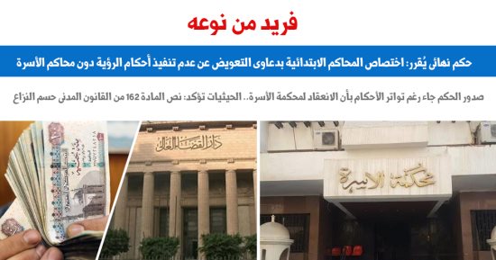 الاستئناف: اختصاص المحاكم الابتدائية بدعاوى تعويض عدم تنفيذ الرؤية.. برلمانى