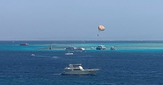 رواج بحرى كبير فى مناطق السنوركلينج والجزر البحرية بالغردقة.. فيديو